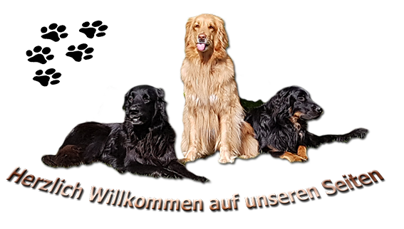 Willkommen auf unserer Seite